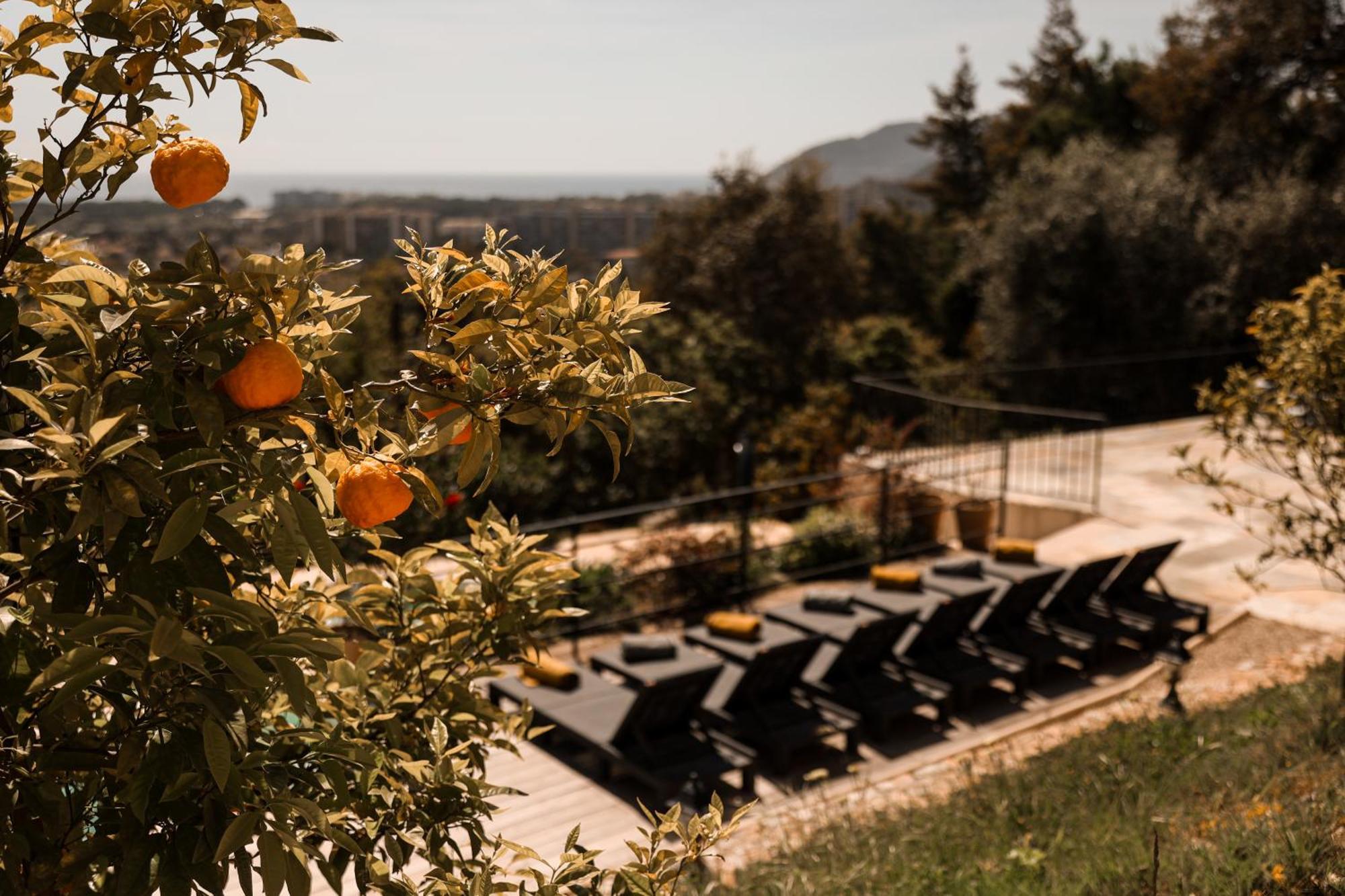 Villa Les Roches Mandelieu Dış mekan fotoğraf